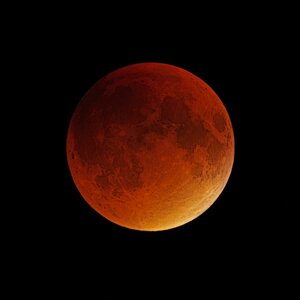 Gozdni planetarij Golovec